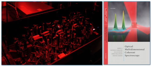 collinear 2DCS setup
